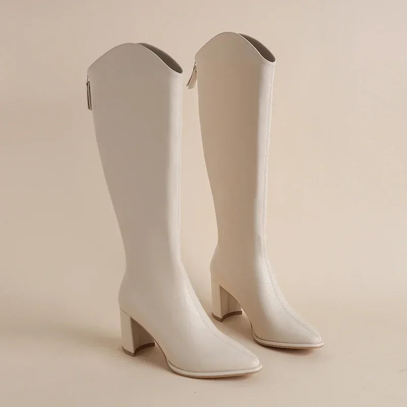 Autumn Winter Women Knight High Boots Fashion Pointed Toe Knight Long Booties Female Thick Heel Shoes