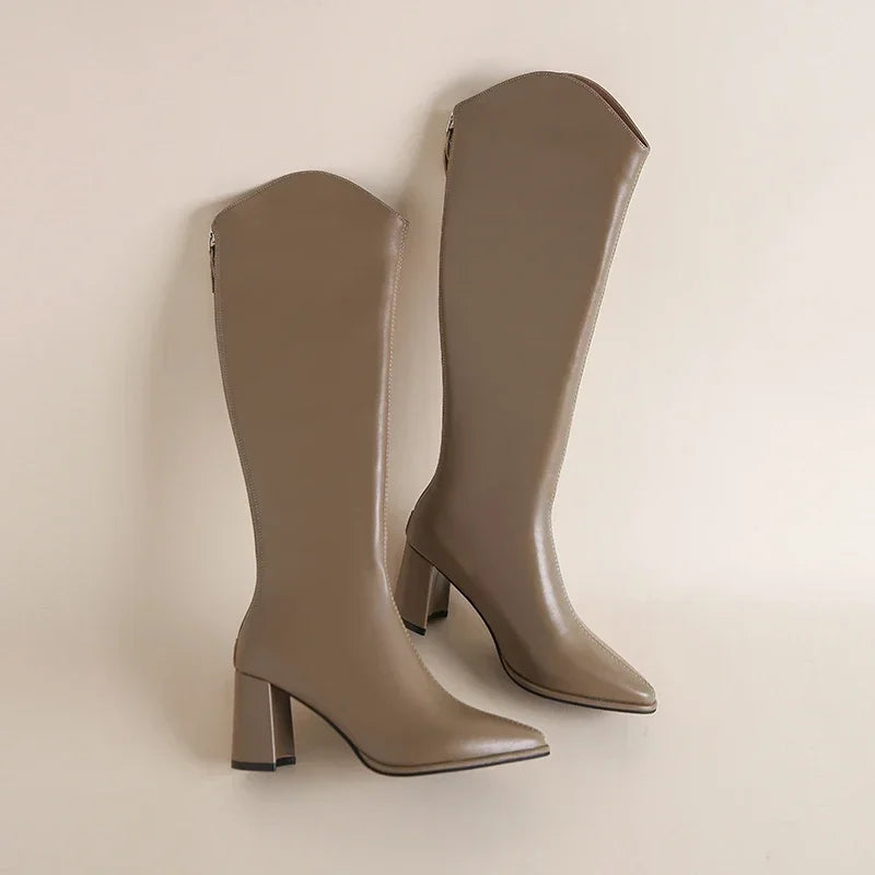 Autumn Winter Women Knight High Boots Fashion Pointed Toe Knight Long Booties Female Thick Heel Shoes