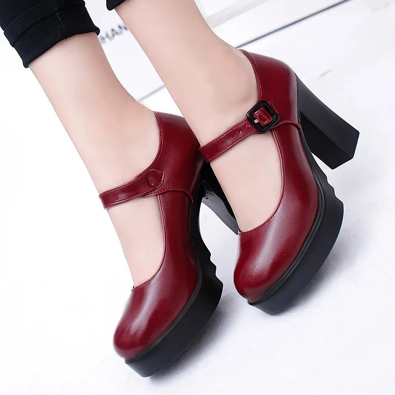 2024 Brand Women's Shoes Mary Janes Women's High Heels Fashion Buckle Strap Dress Pumps Women Hot Sale Round Toe Heels Women