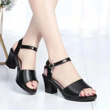 Cresfimix Women Fashion Black Comfort Summer Hollow Open Toe Square Heel Shoes Lady Spring Buckle Strap Open Toe Heels A9511