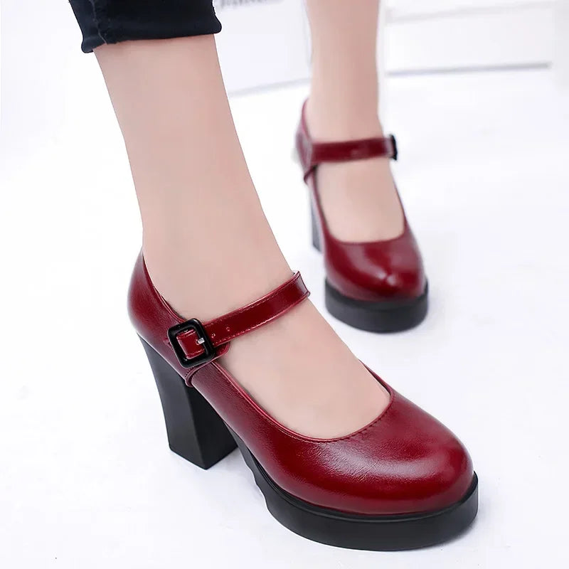2024 Brand Women's Shoes Mary Janes Women's High Heels Fashion Buckle Strap Dress Pumps Women Hot Sale Round Toe Heels Women